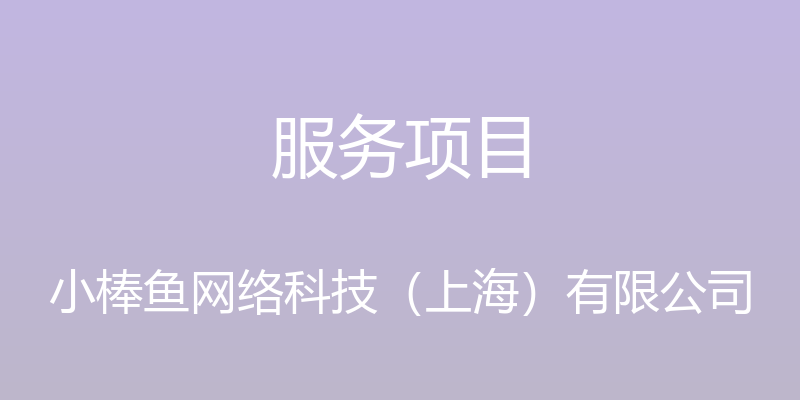 服务项目 - 小棒鱼网络科技（上海）有限公司